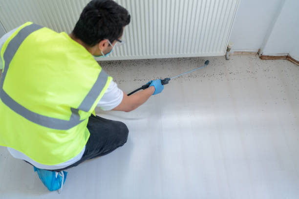 Best Fumigation Services  in Bryn Mawr, PA